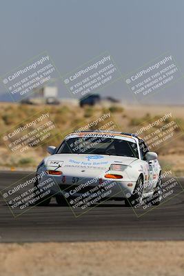 media/Oct-14-2023-Lucky Dog Racing (Sat) [[cef75db616]]/2nd Stint Turn 16/